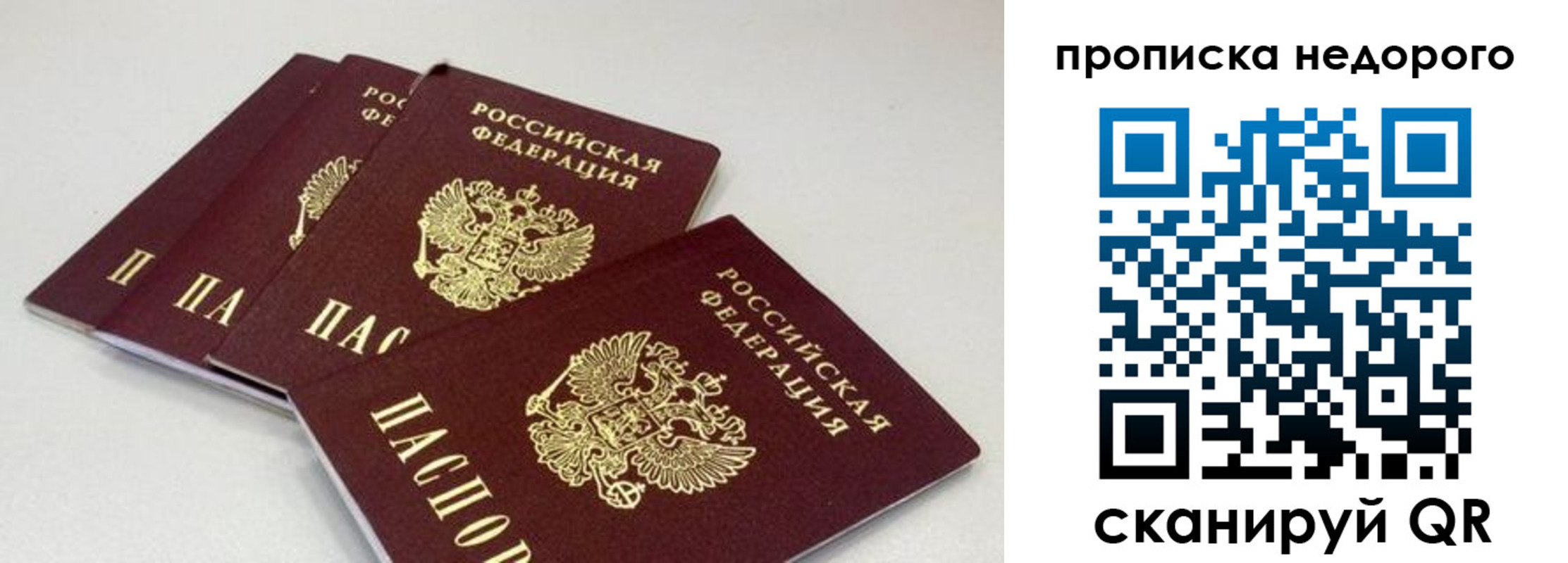 прописка штамп в Видном