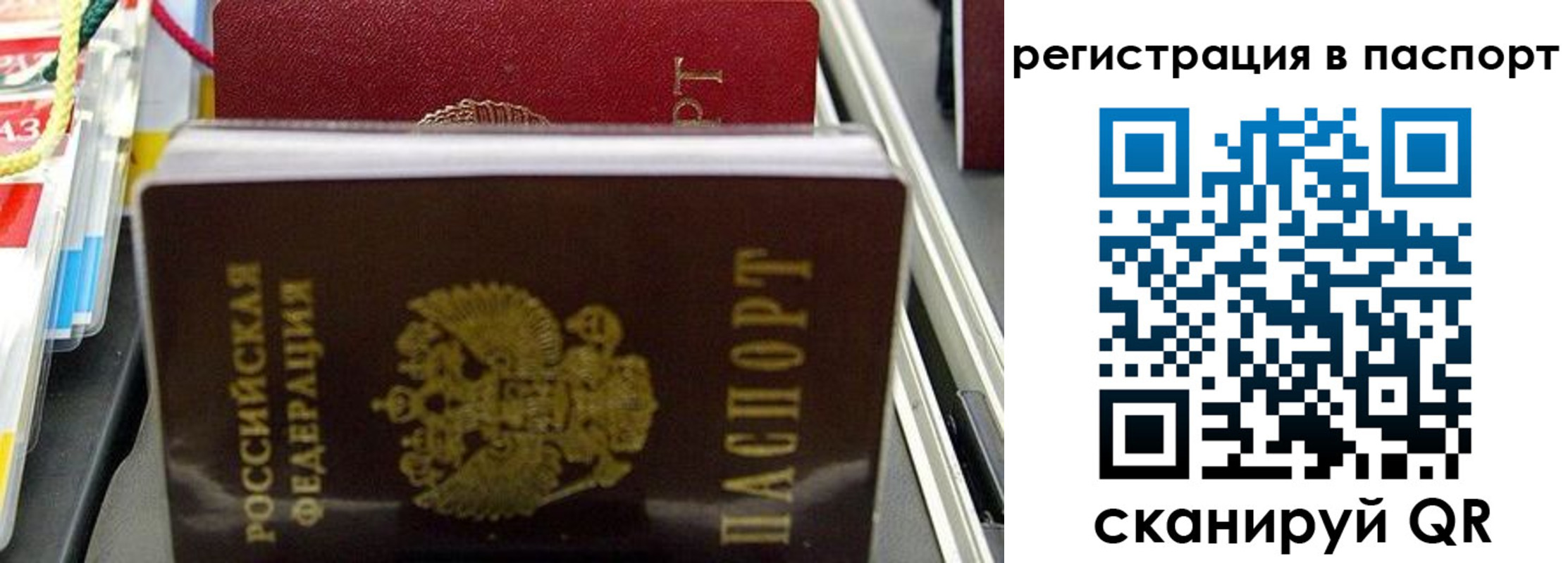 прописка для школы в Видном